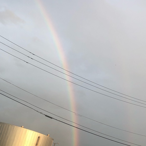 Meet your Posher, Hannah - Picture 1 of 1